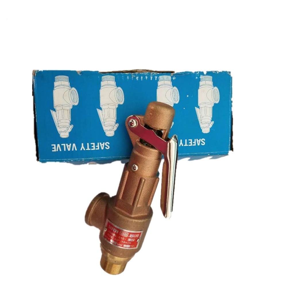 Industrial Brass Style Air Gas Steam Boilers Safety Valve