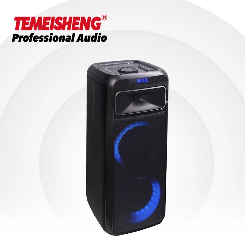 2022 Temeisheng Double 6.5 Inch Professional Wireless Outdoor Colorful Light Powered Bass Surround Sound Karaoke Speaker