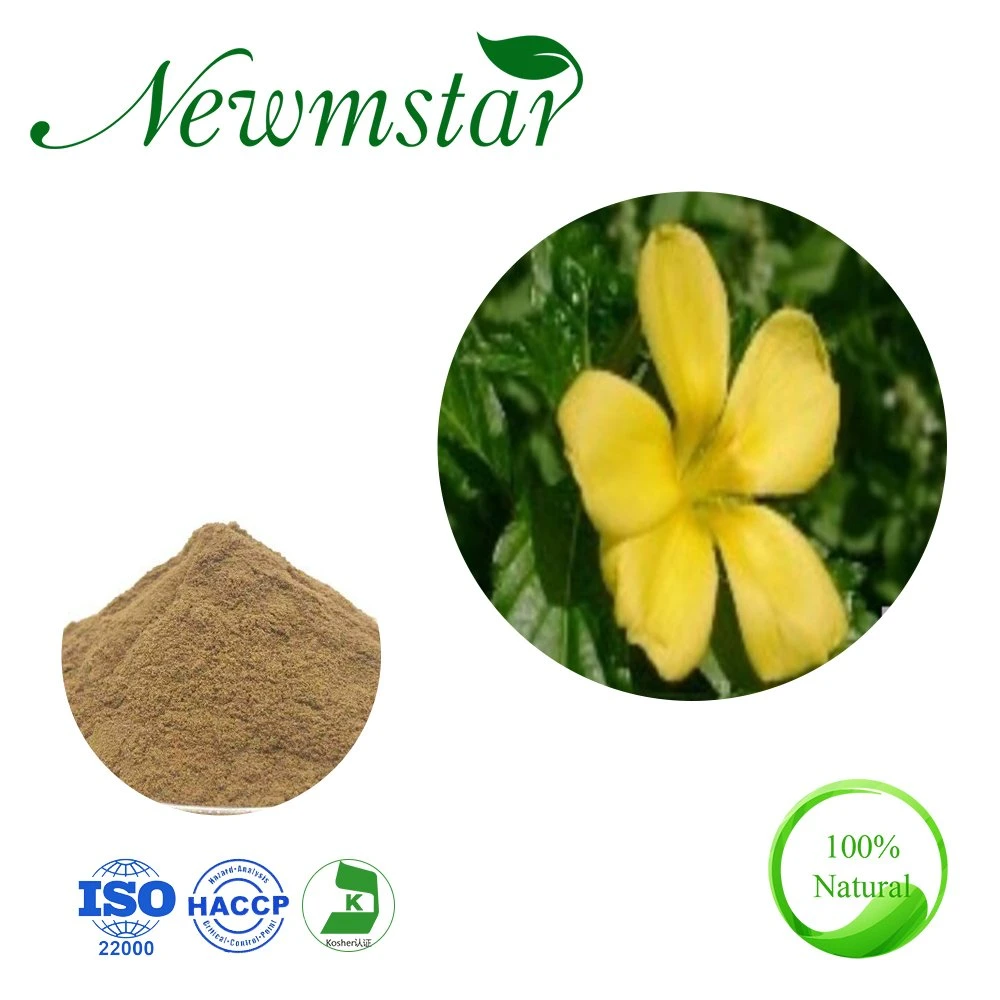 Natural Plant Extract /Turnera Aphrodisiaca Powder/ 4: 1~20: 1 Damiana Leaf Extract /Turnera Diffusa Leaf Extract