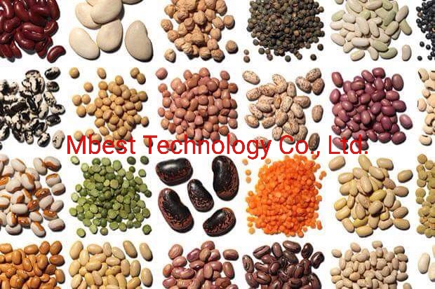 Multi-Function Wheat/Buckwheat/Barley Color Sorter Colour Sorting Machine