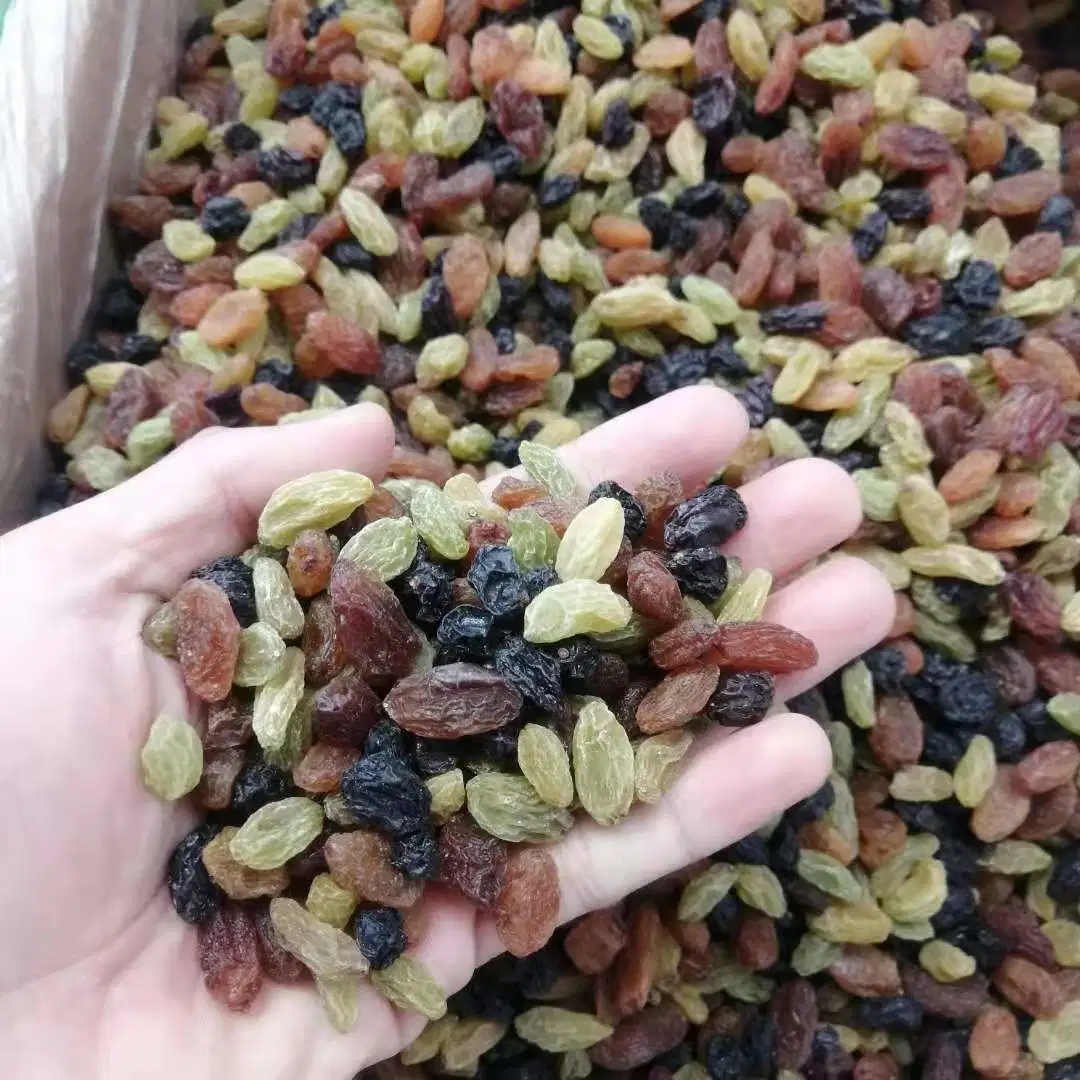 ISO Certification 100% Natural Products Factory Direct Sales Nature Fruit Dried Black Raisins From Uzbekistan