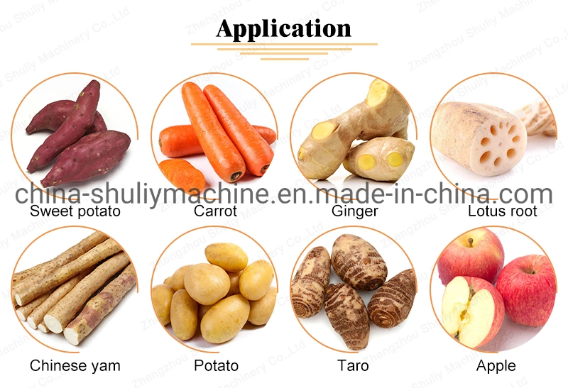 Les fruits de légumes frais Industriel Machines de nettoyage à sec pour la vente de la machine à laver de dates