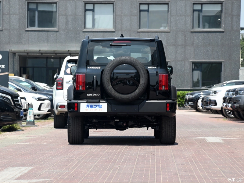 L'essence voiture compacte à la mi-taille du réservoir de toutes les roues motrices 300 SUV