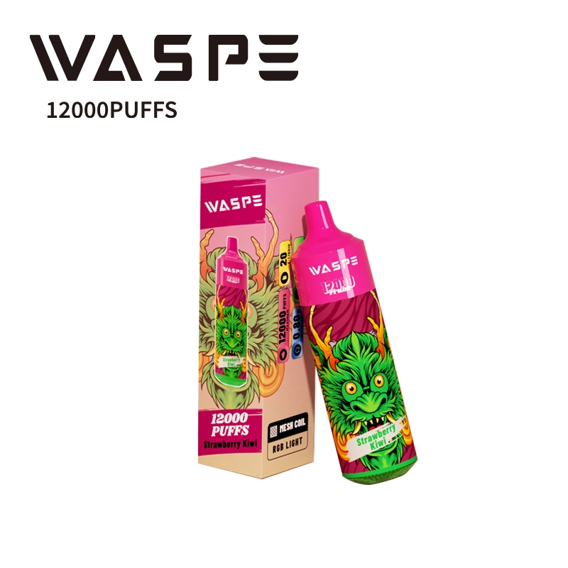 Original Factory Wholesale/Supplier 12000 Puffs 20ml 2% 5% Nic Salt Disposable/Chargeable Vape