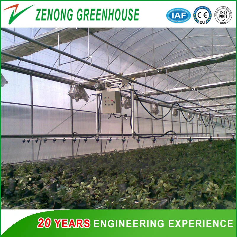 China Made High quality/High cost performance Plastic Film Green House for Growing Vegetables/Flowers/Eco Restaurant