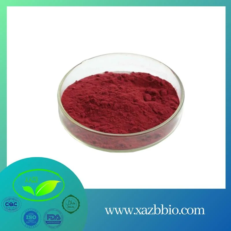 Natural Herbal Extract Lycopene Powder Tomato Extract