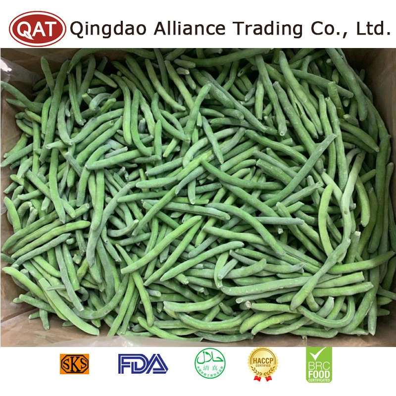 Proveedor de la fábrica de judías verdes a granel IQF congelado toda la cadena de green beans orgánica certificada para exportar