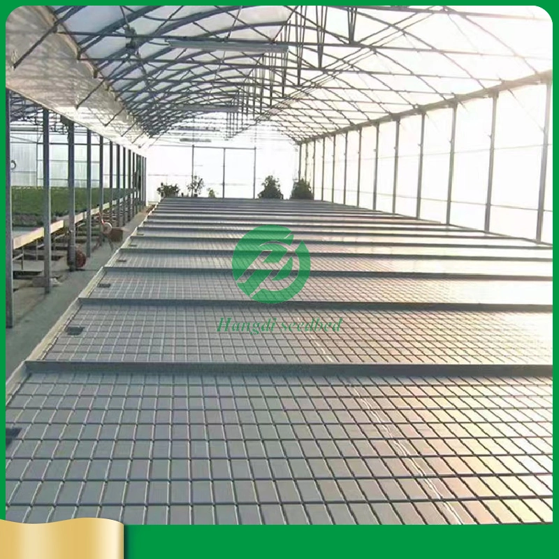 Direct Manufacturer Agriculture Commeicial Ebb and Flow Flood Tray Hydroponic Growing System Flow Rolling Table for Sale