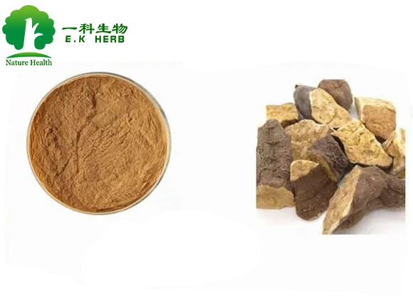 E. K Herb Herbal Plant Extract Factory Price Оптовая продажа с высоким качеством FO-Ti Root Extract Ho Sou Wu Extract 10: 1, 20: 1 Полигонум multipolum Extract