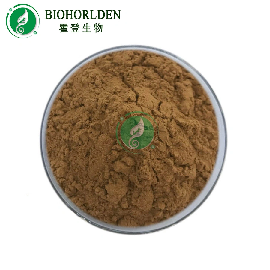 Les soins de santé Supplément Cistanche Tubulosa extrait organique poudre brute Cistanche Tubulosa Extract