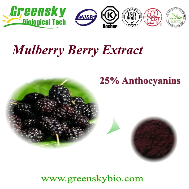 Health Product Mulberry Extract with 25% Anthocyanins