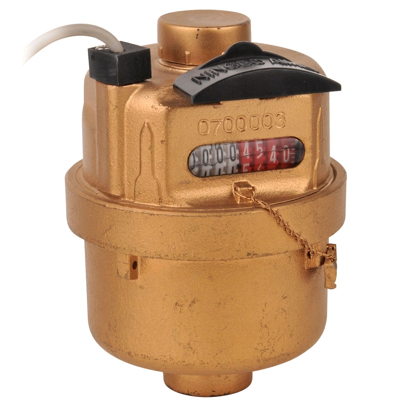 Lxh-15A-40A Volumetric Piston Water Meter