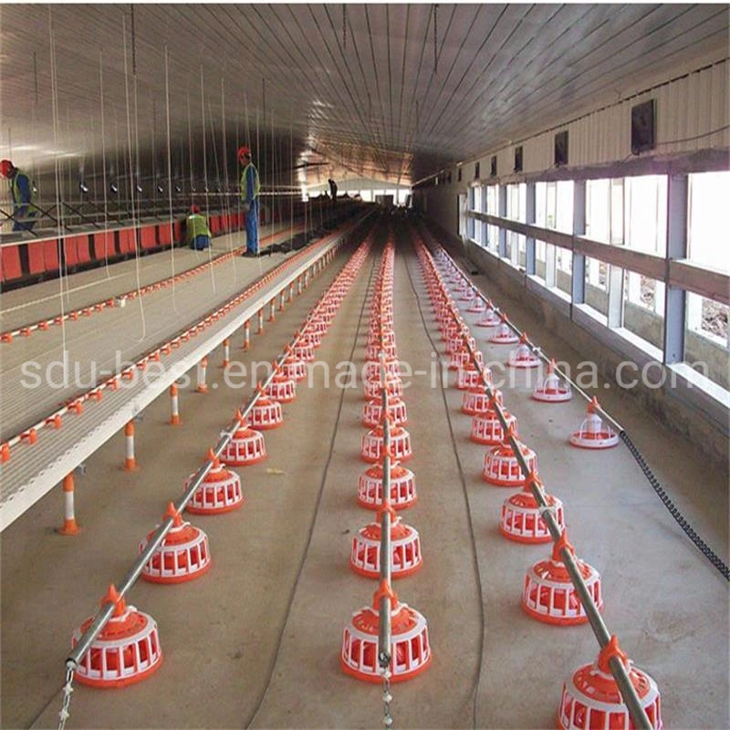 Automatic Poultry Farming Equipment Chicken Feeding System for Sale