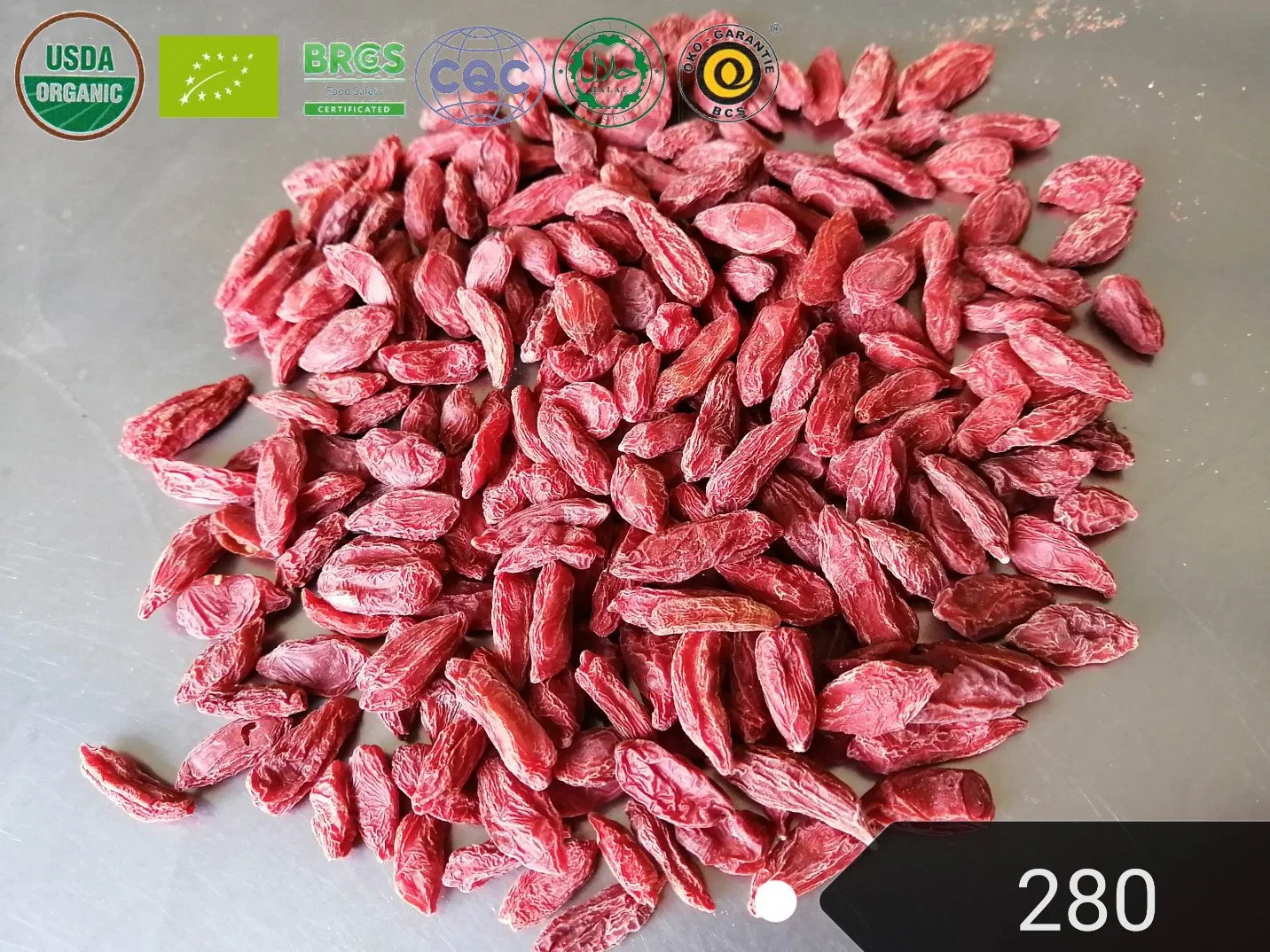 HACCP Factory Supply bonne qualité rouge de Goji Berry Wolfberry