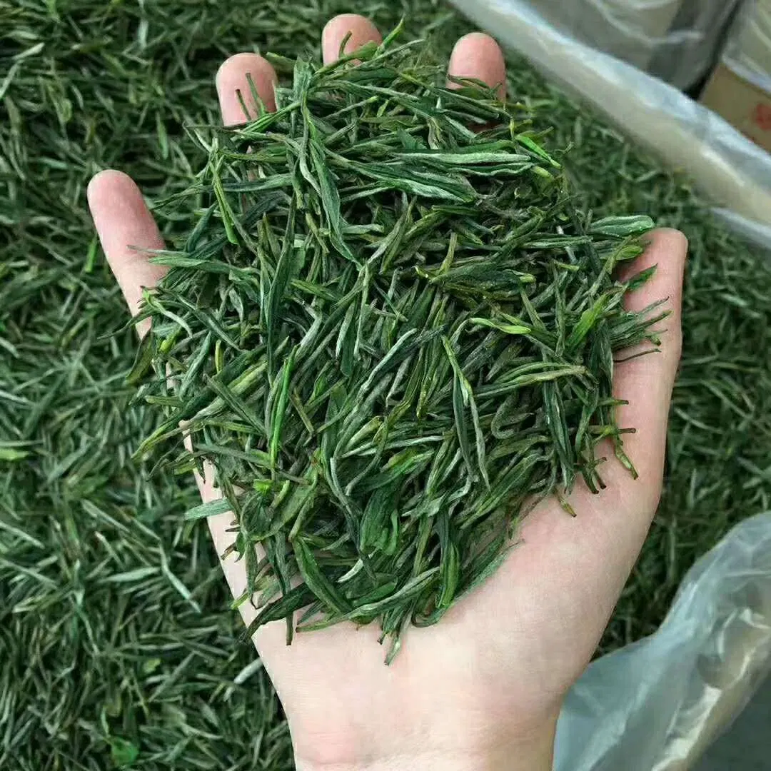 Best China Green Tea Bamboo Emei Green Tea