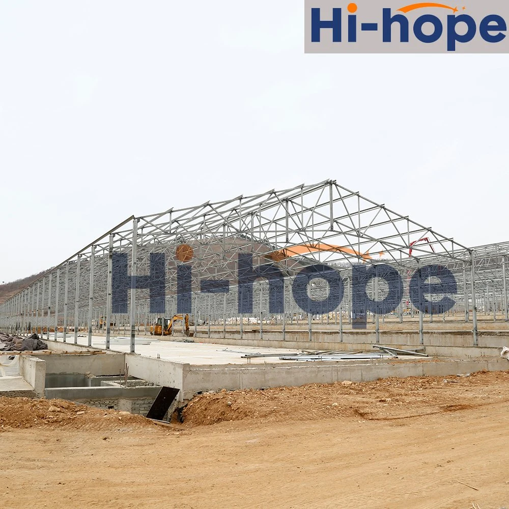 Designed Factory Price Chicken Shed Light Steel Building for Poultry Farming