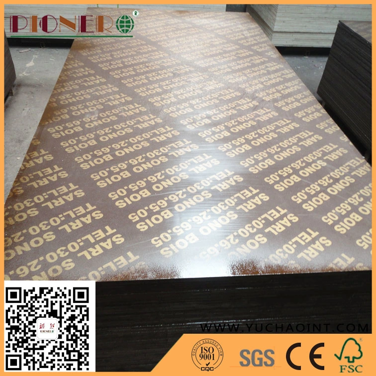 Factory-Directly Sales Film Faced Plywood with Top Quality