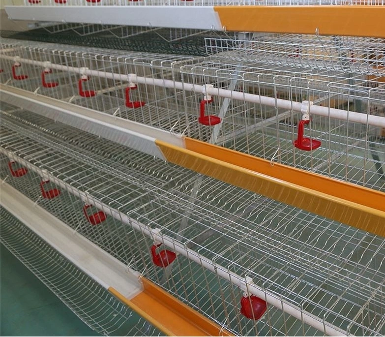 Un type de poulet Hot-Dipped galvanisé Cage/coop/versé pour les poulets de chair ou de poules pondeuses