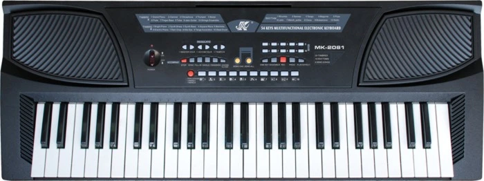 Hot Selling 61 Keys Electronic Organ/Electronic Keyboard Instrument