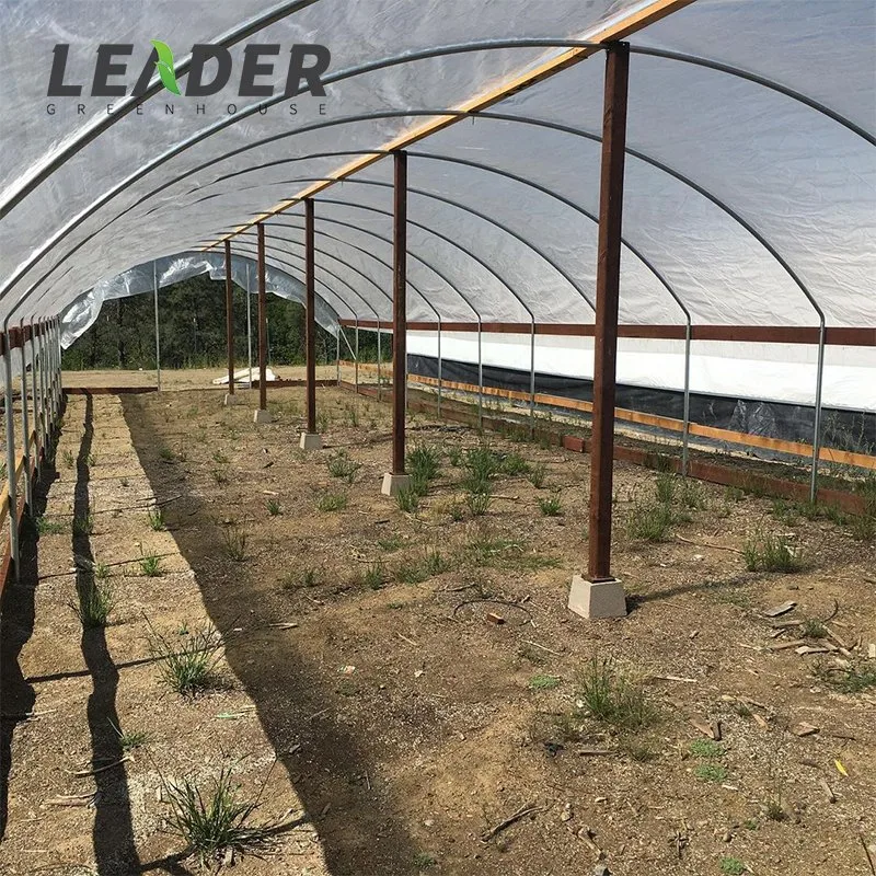 Solo plástico Span la agricultura de invernadero película túnel