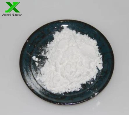 CAS 107-43-7 High Purity 99% Manufacturer Supply Glycine Betaine Powder