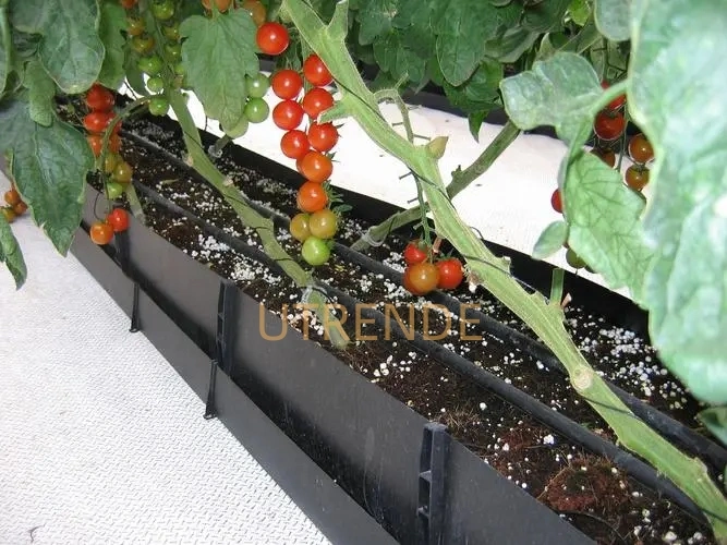 Agriculture Greenhouse PP PE Hydroponic Seeding Planting Growing Gutter