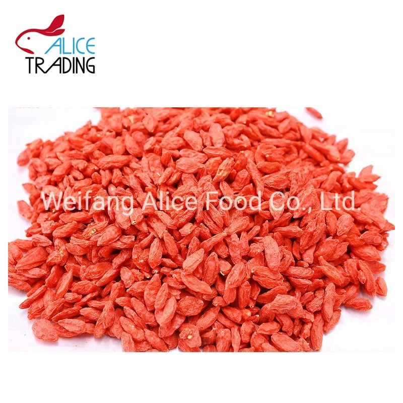 Wholesale/Supplier Health Food Dried Goji Berry Dry Goji 100% Natural Goji