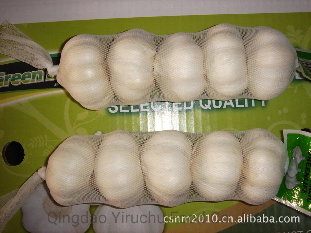 2023 China New Super Quality New Fresh Garlic