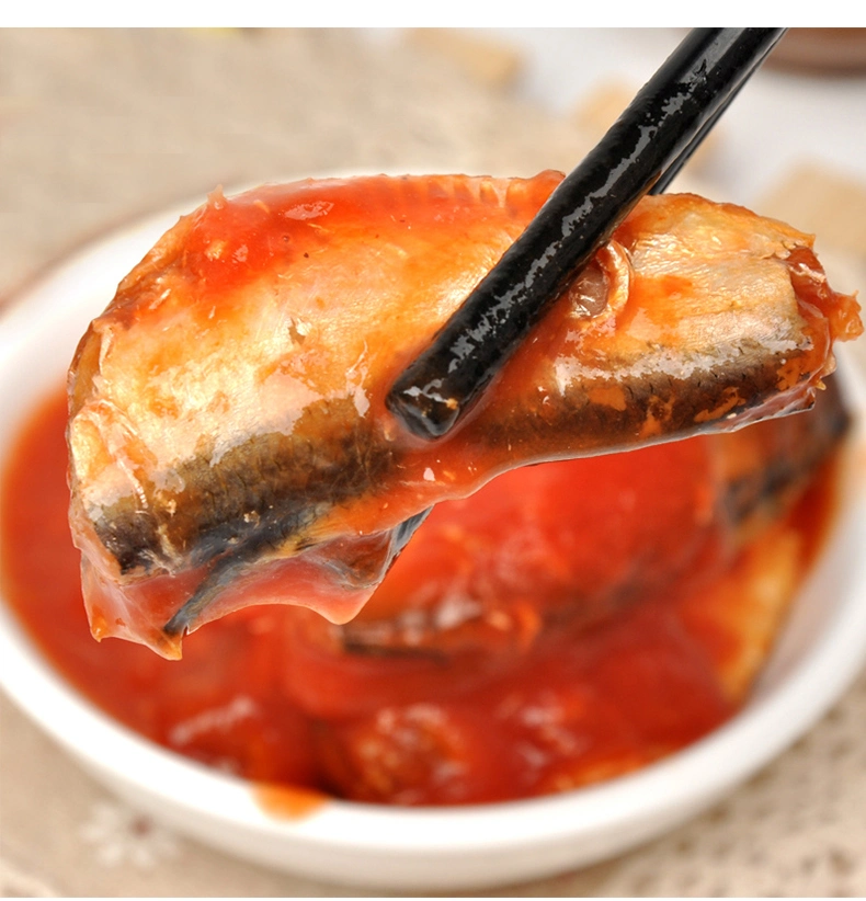 Professional Production New Arrival Mackerel Canned Fish in Tomato Sauce