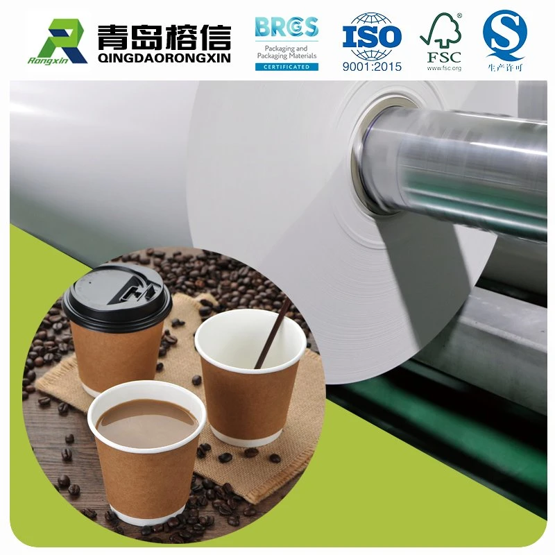 PE Coated Paper for All Kinds of Cup