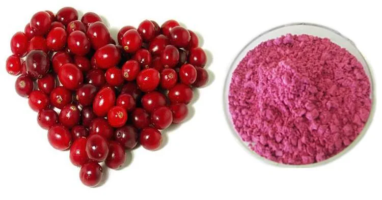 1% до 25% фруктов извлечения Anthocyandins порошок Cranberry Extract