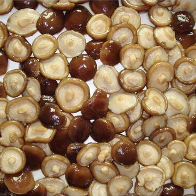 La salud alimentaria Conservas conservas de setas Shiitake