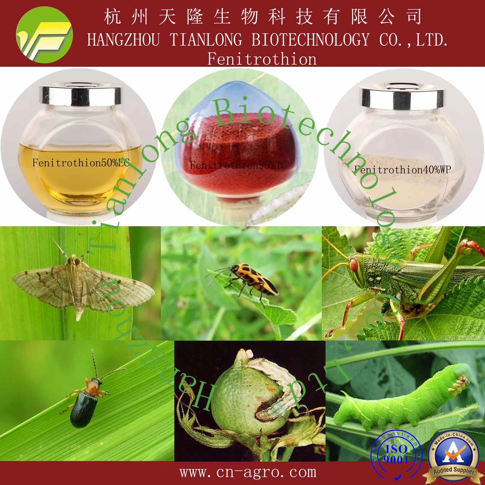 Inseciticide Fenitrothion 200ULV,500ULV, 1000ULV