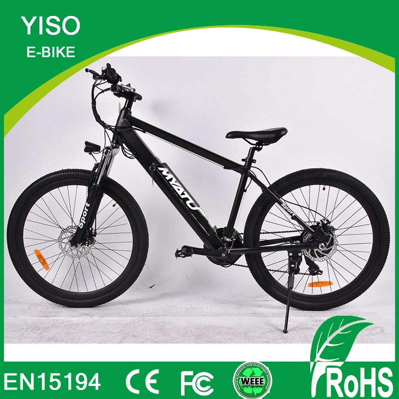 En15194 350W 36V 10ah Hot Selling E Mountain Items Electric Dirt Bike