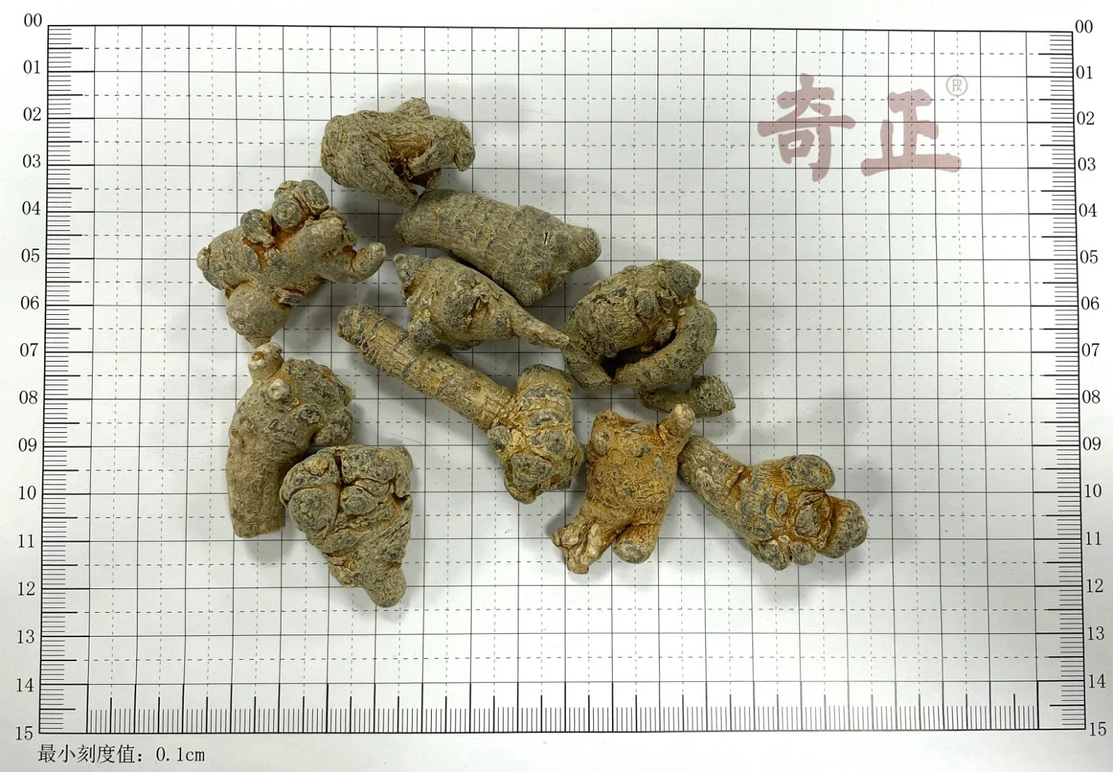 Fabrik Liefern Gute Qualität Chinesisch Kraut San Qi Panax Notoginseng Root