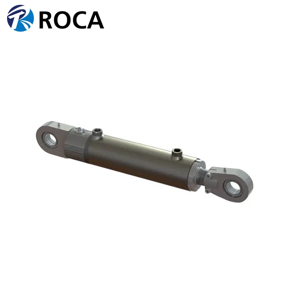 OEM Chinese Factory Price Customized Singer/Double Acting Hydraulic Cylinder for Lift