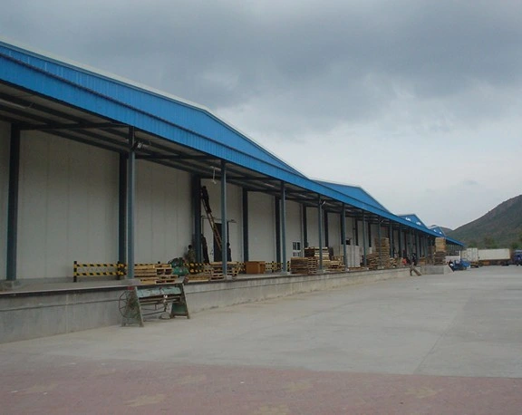 Prefabricated Steel Structure Building for Warehouse/Wokshop (DG3-008)