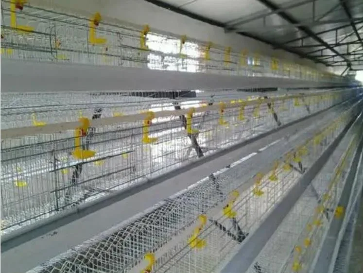 Popular Astyle Chicken Cage Modern Prefab Commercial Egg Layer Poultry Farm Building House Design for Sale