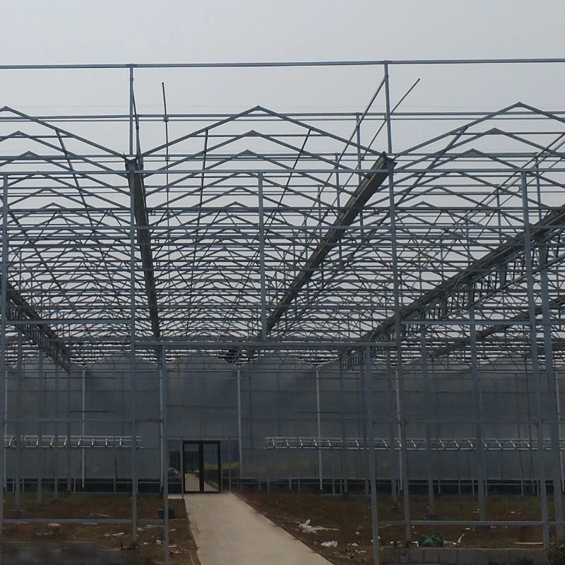 Galvanized Profile Gutter Connected Greenhouse for Fruits