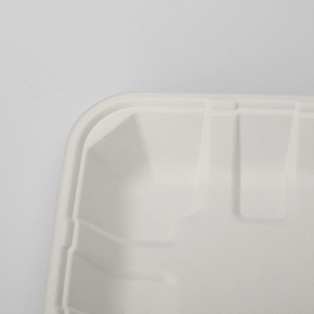 Einweg biologisch abbaubar umweltfreundliche Zuckerrohr Bagasse für Dinner Party 7" X 5-Zoll-Fach