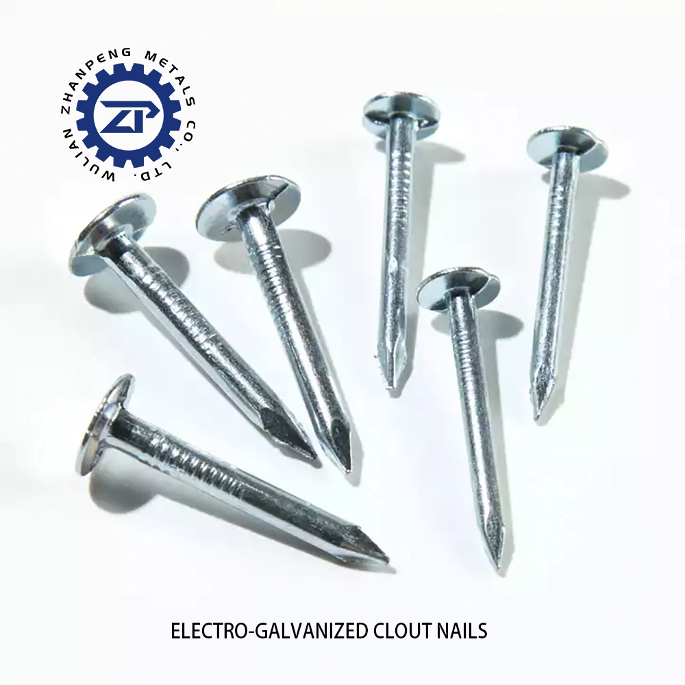 3/4 in. Hot Dipped Roofing Nails, Smooth Shank, Bulk