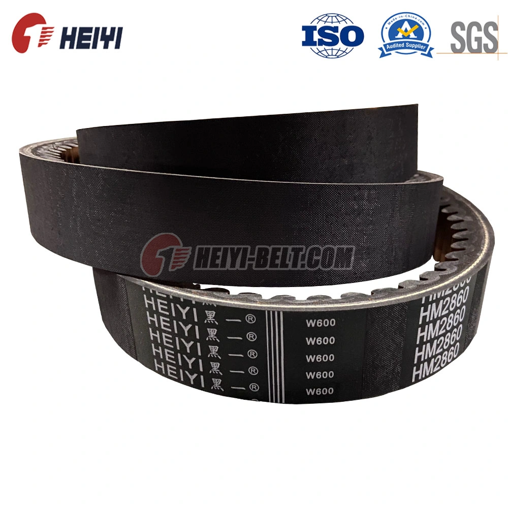 Customized Design Rubber Rec Cogged /Pk Belt for Auto