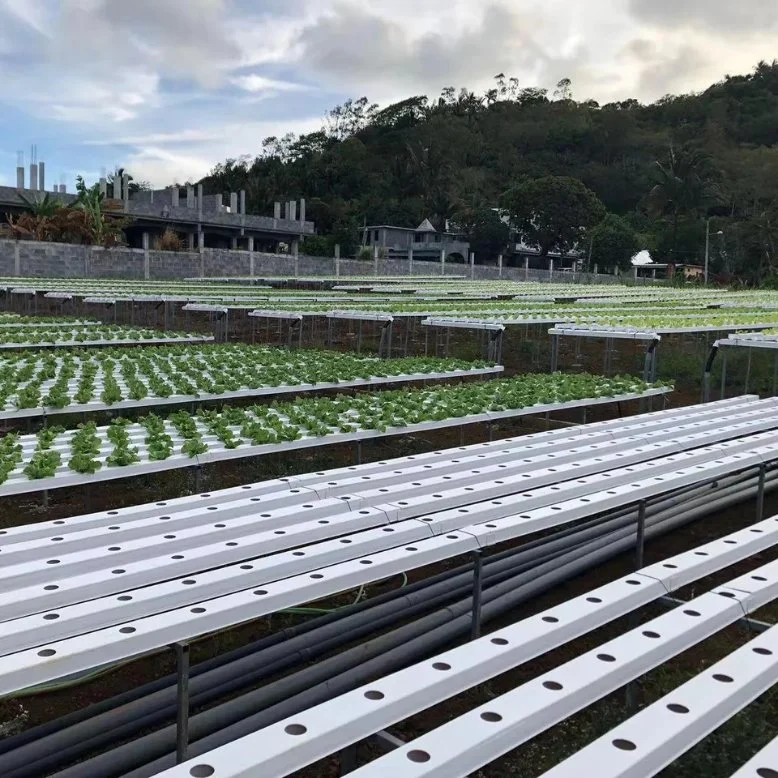 Nft Sistema crescente Smart Sistema de controlo dos produtos agrícolas