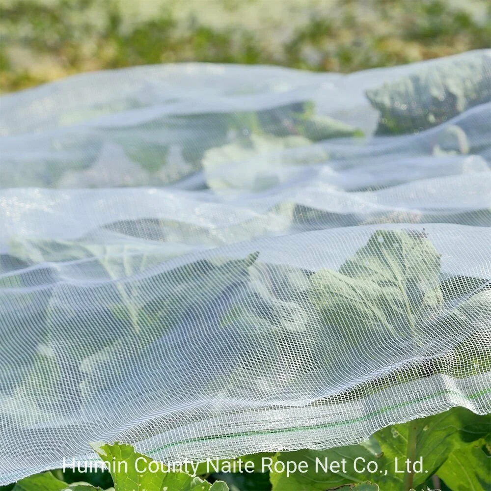 100% New HDPE 4X50m UV Stabilized Blue Garden Insect Net