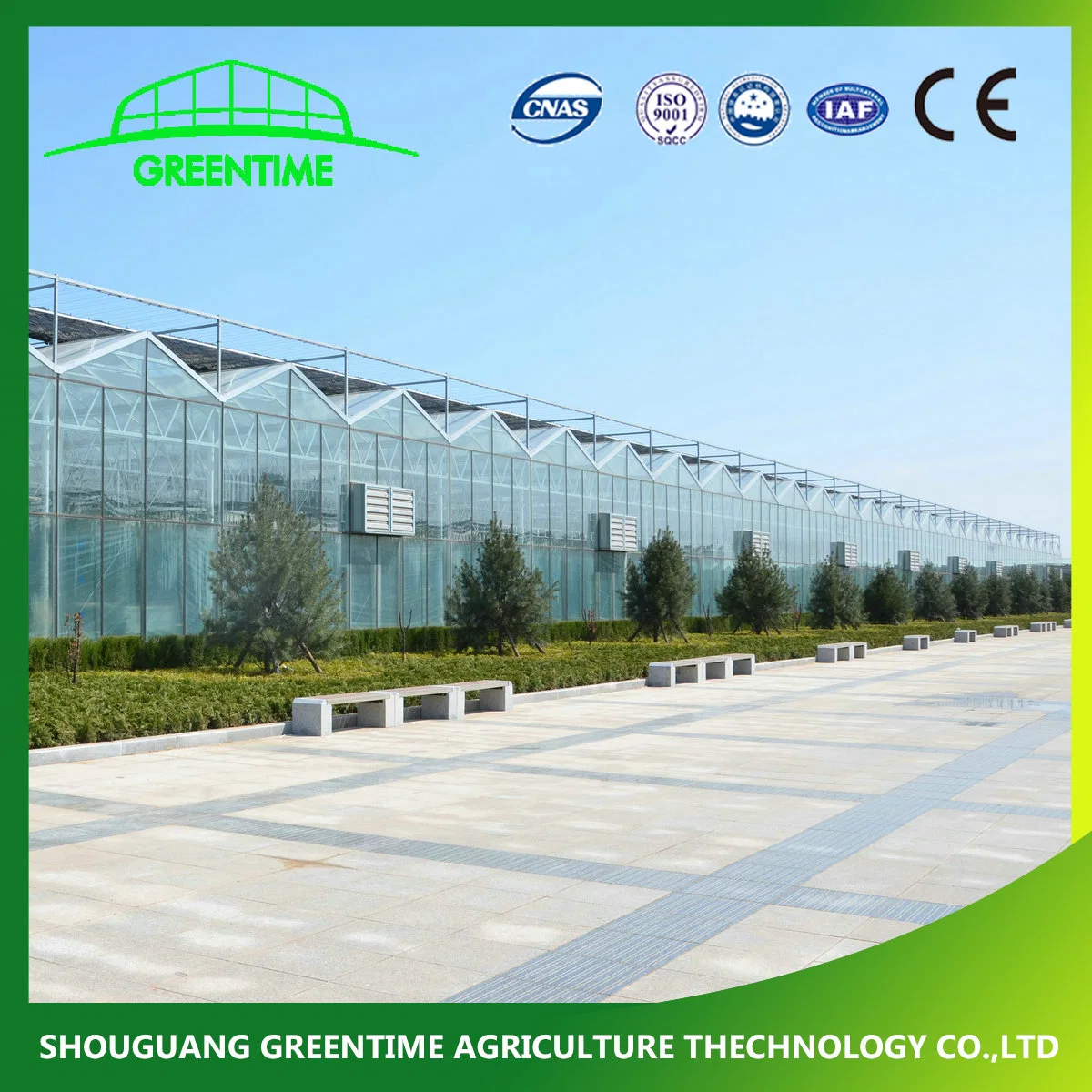 Long Service Life Venlo Type Galvanized Steel Structure Glass Greenhouse with Cooling System for Hydroponics/Strawberry/Vegetables/Flowers/Tomato/Cucumber