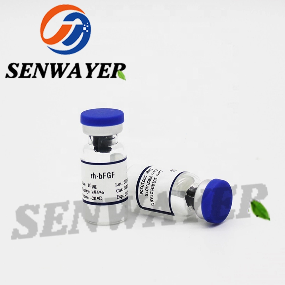 Anti-Wrinkle Bfgf Afgf Powder Recombinant Human Fibroblast Growth Basic Factor CAS 121062-08-6 Fgf Powder