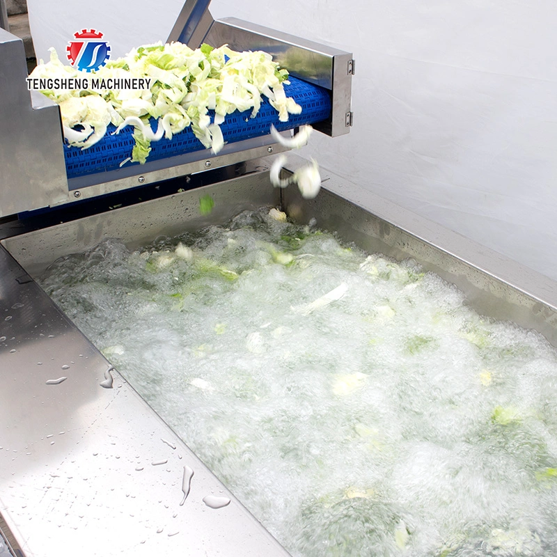 Ligne de production de machines de découpe, de levage et de lavage de légumes pour l'industrie alimentaire