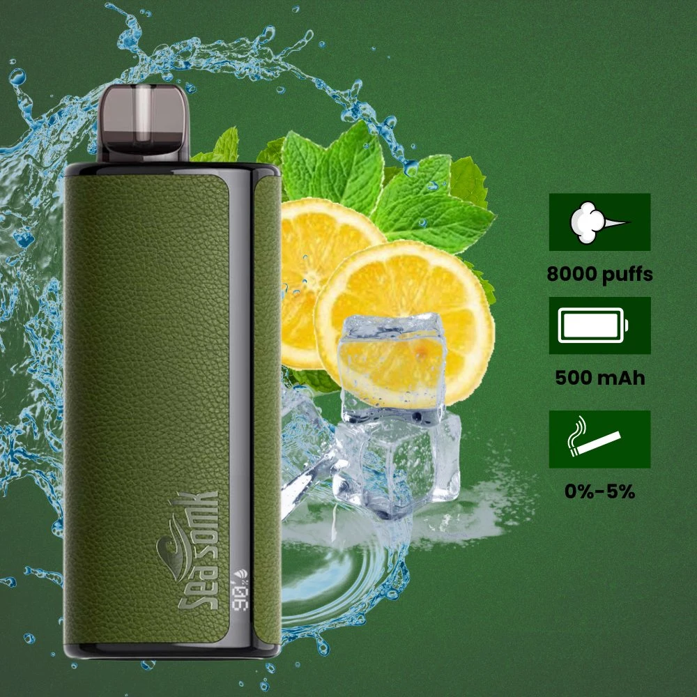 OEM Wholesale/Supplier E Cigarette Disposable/Chargeable Vape Pen 7000 Puffs Disposable/Chargeable Vaporizer Dual Mesh Coil Vape with Display Screen Factory