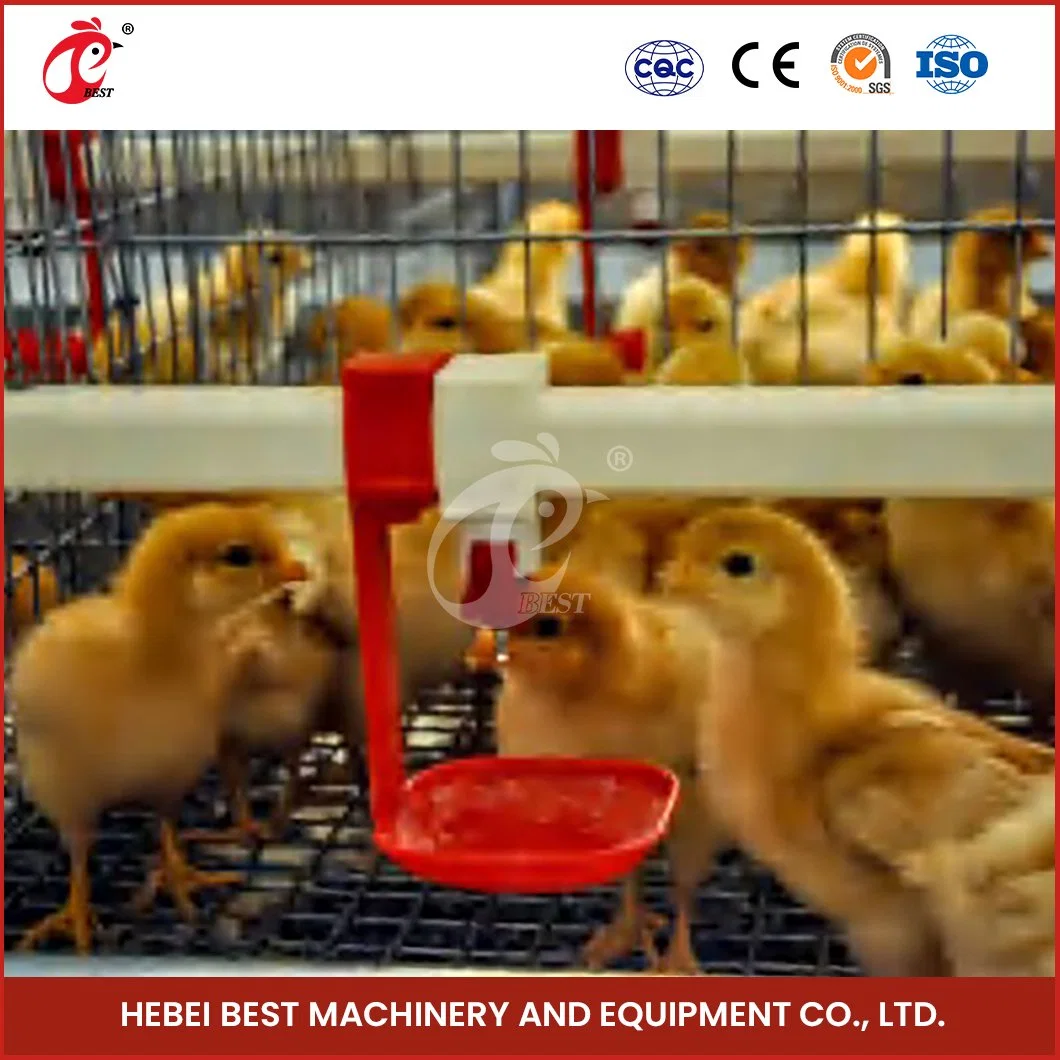 La Chine Bestchickencage 4-6 poulets des maisons et des coops une trame en usine des cages de poulets de chair automatique personnalisée OEM de l'opération commode Open Air Poulailler