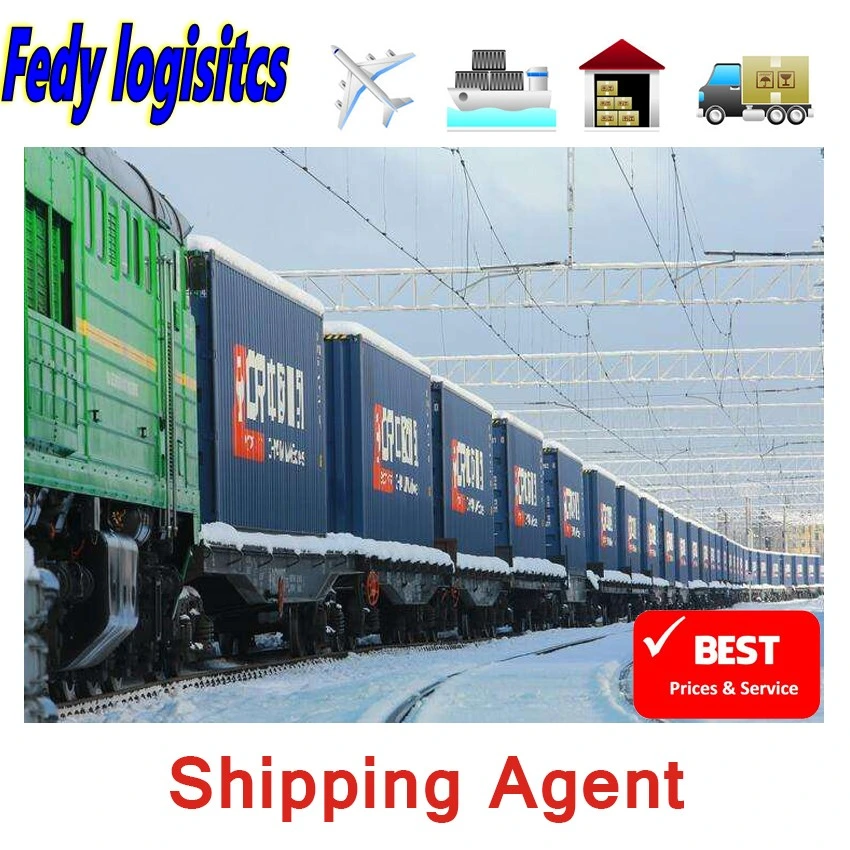 Fast Amazon Agent Drop Shipping Train Freight Railway to Europe Germany/UK/ France/Poland/Czech Republic